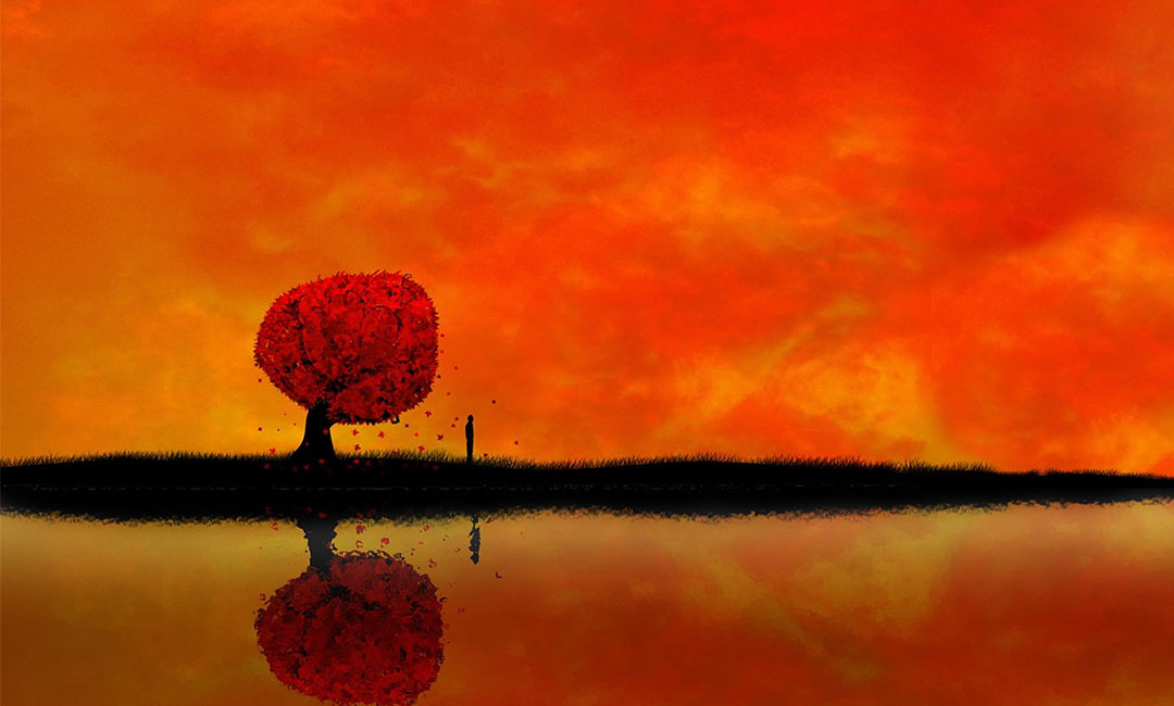 玉树笙影微信朋友圈转发案例