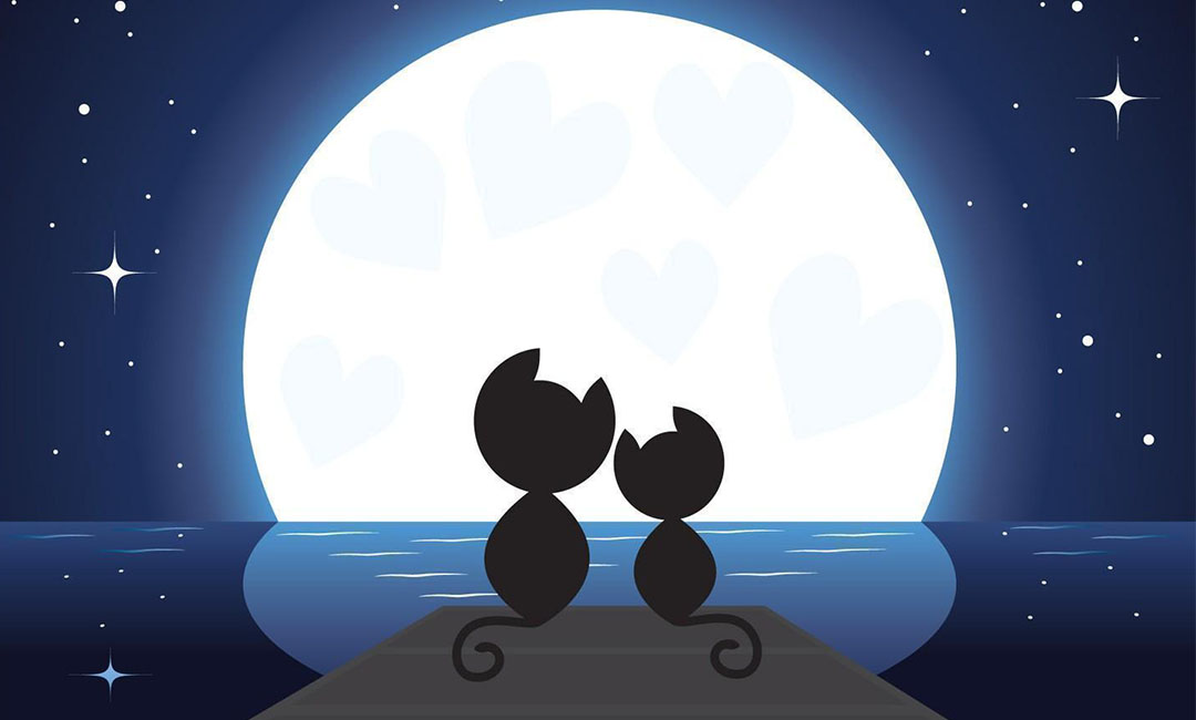 玉树潮客汇微信活动策划案例